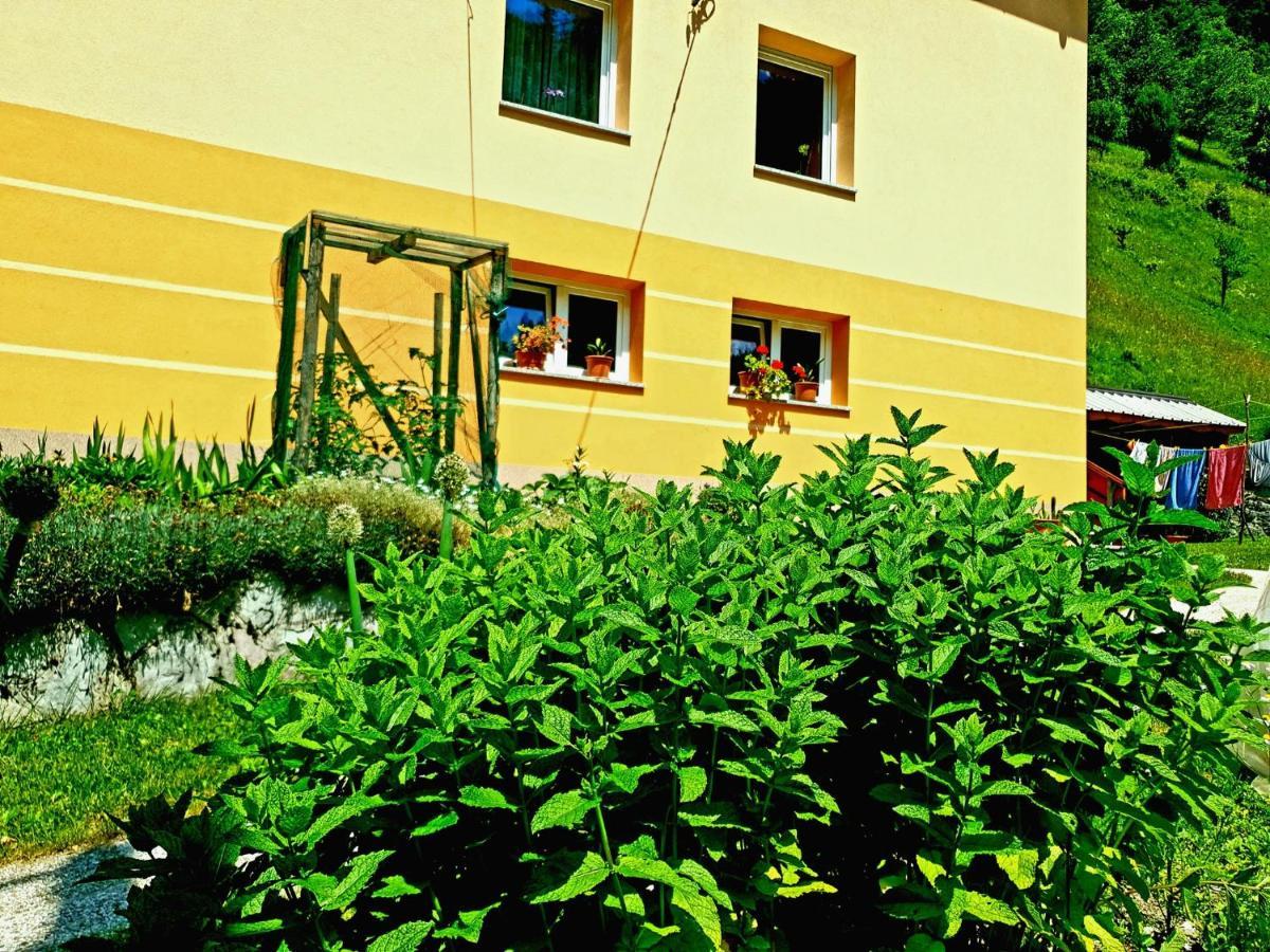 Apartment And Garden House Among The Mountains Podbrdo Dış mekan fotoğraf